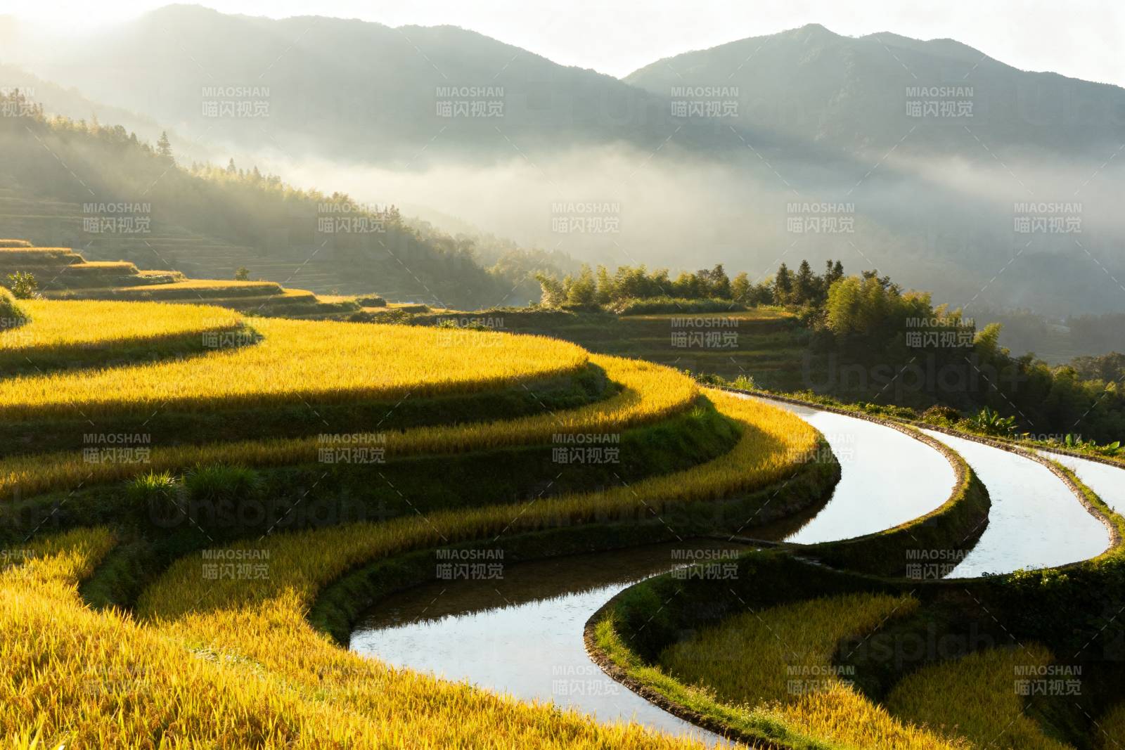 梯田晨曦图片