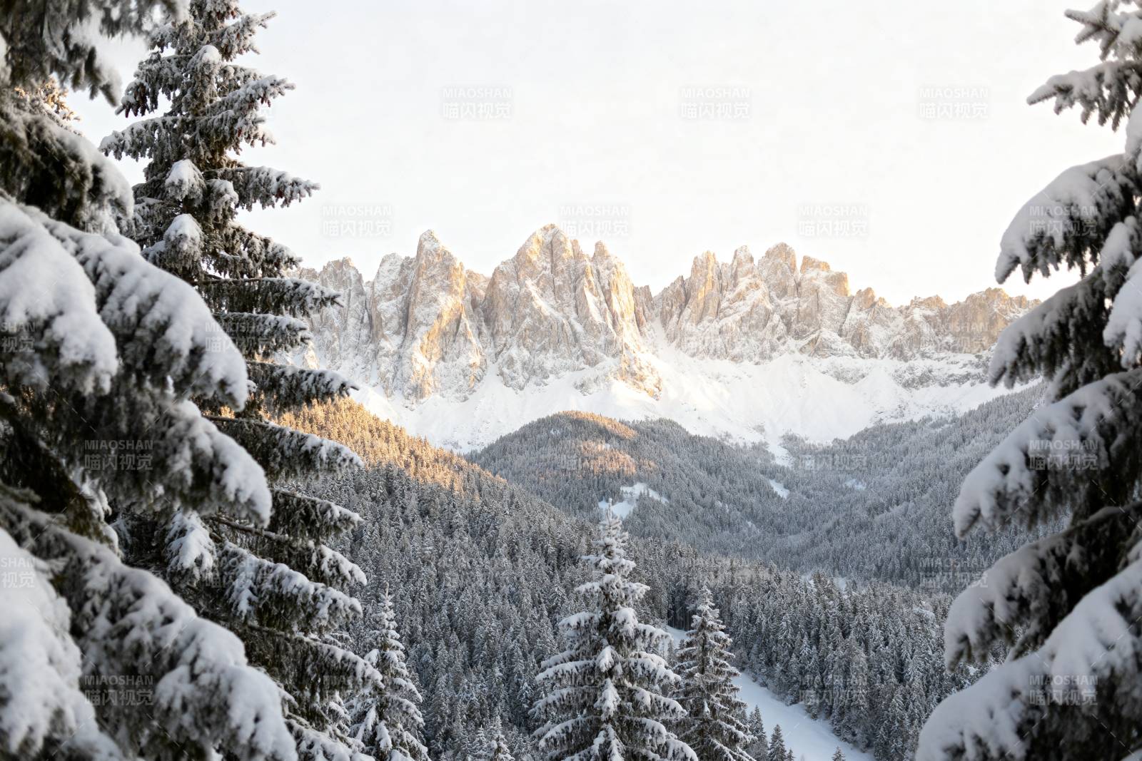 雪覆山林 静谧冬景图片