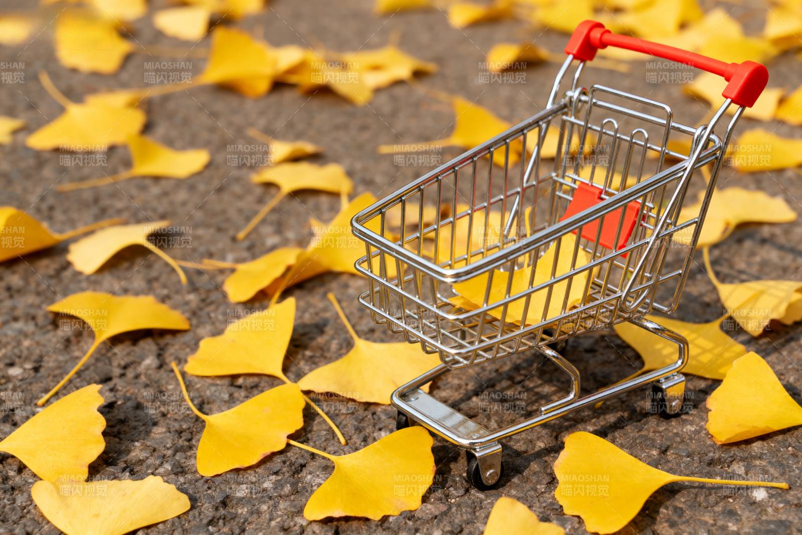 秋叶中的购物车图片