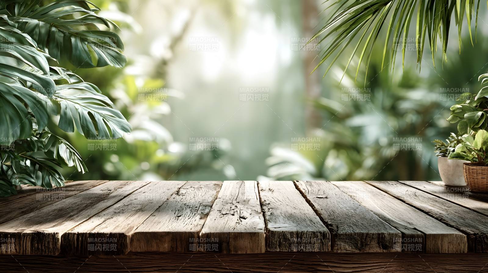 热带绿意木桌景图片