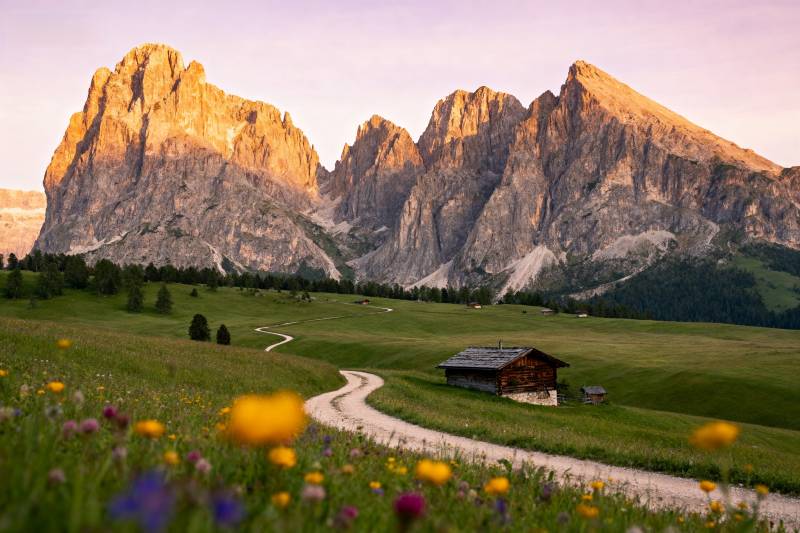 山野花径小屋图片