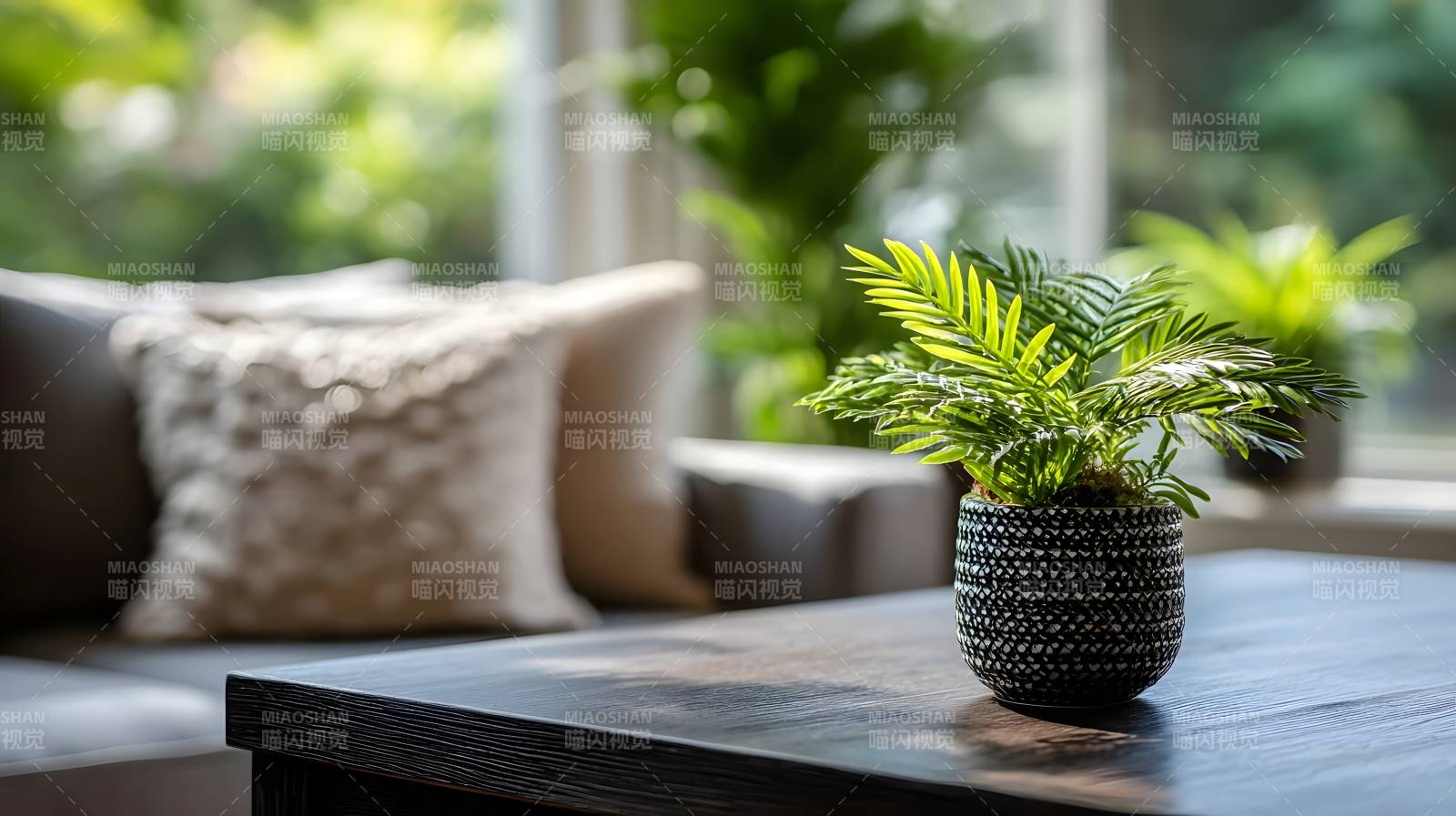 绿植点缀温馨客厅图片