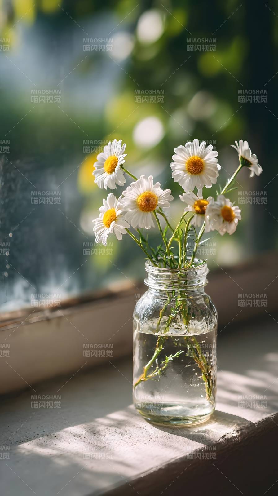窗台雏菊静谧时光图片
