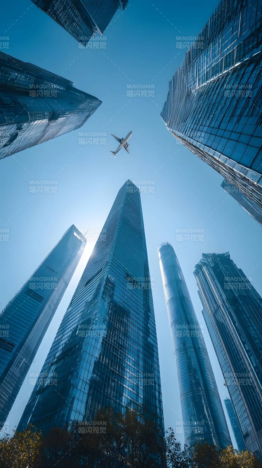 摩天楼群与飞鸟图片