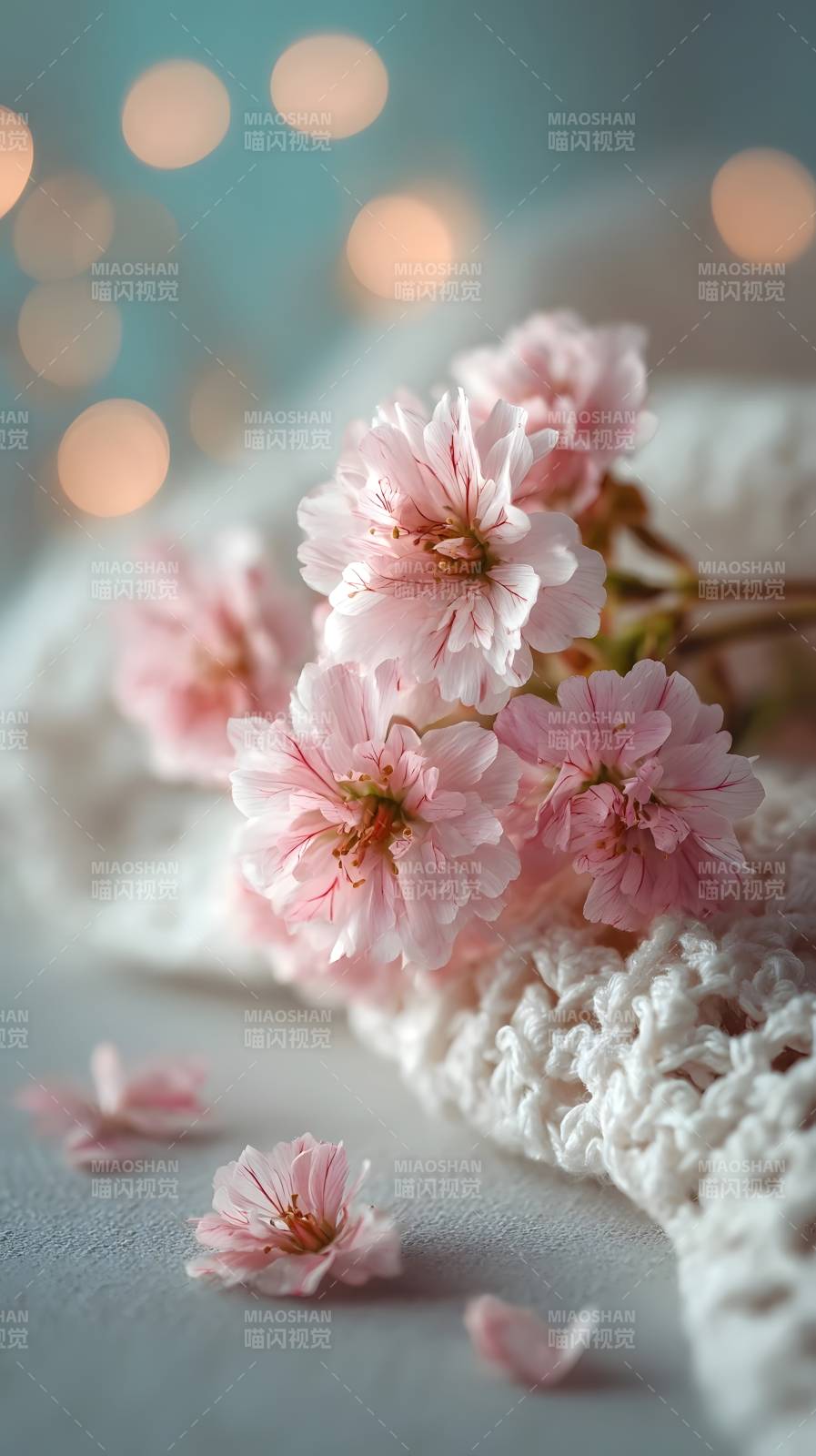 樱花轻落绒毯上图片