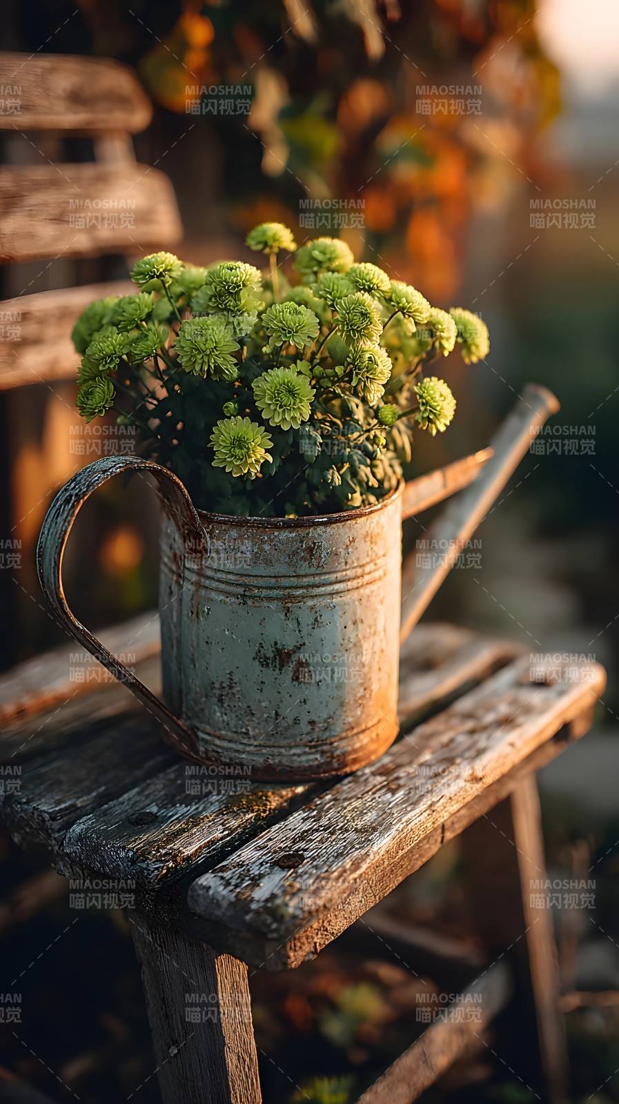 旧壶绿植静谧景图片