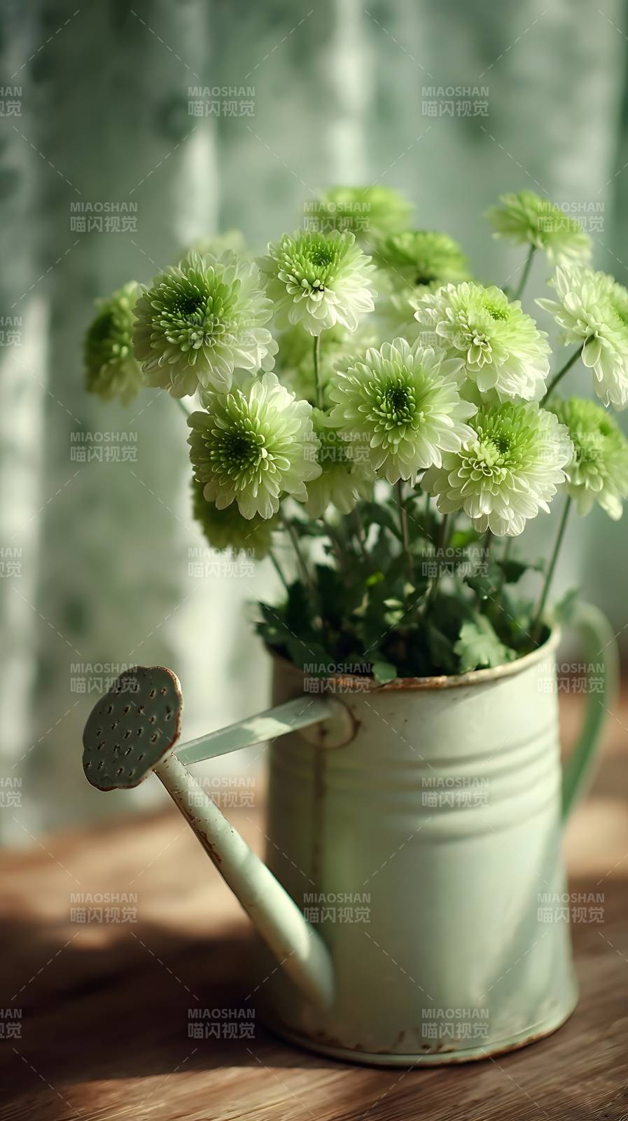 绿菊映水壶图片