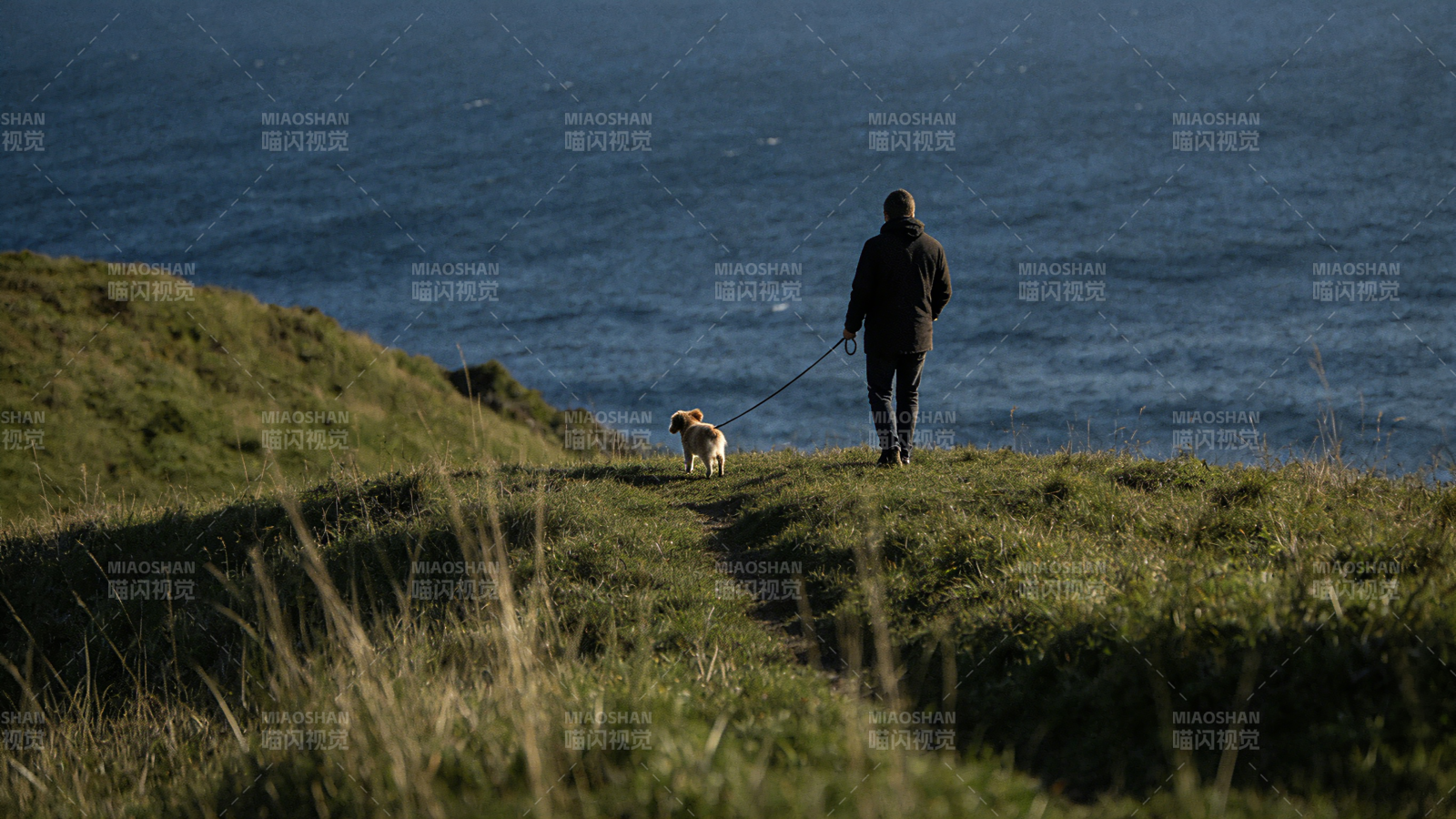海边遛狗图片