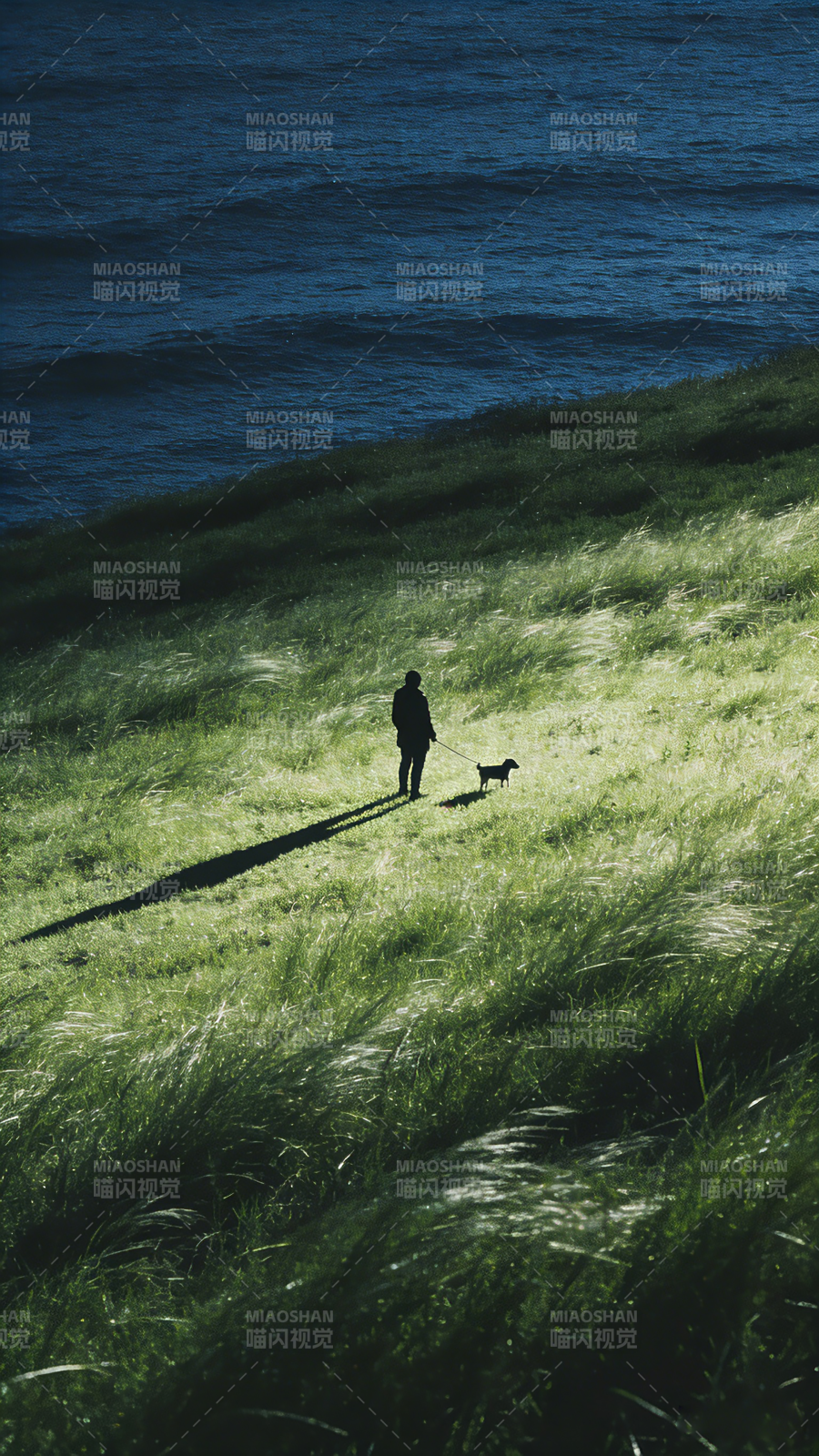 海边草坡遛狗人影图片