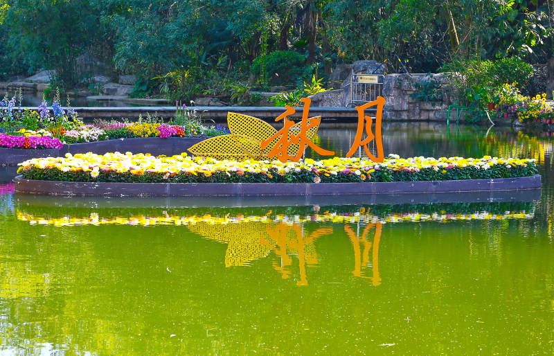 阳光下菊花装饰船的倒影美景图片