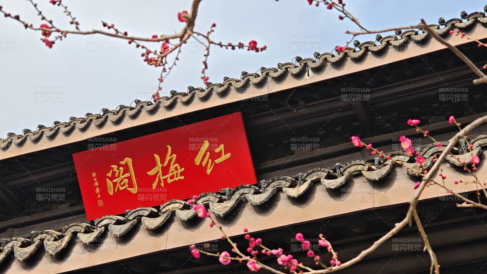 红梅阁春景（常州红梅公园内）图片