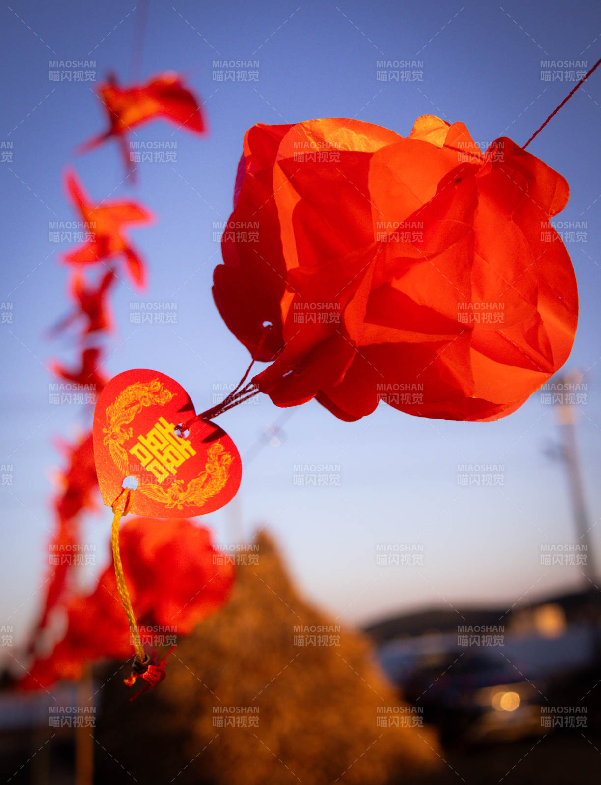 红花迎春 喜庆祥和图片