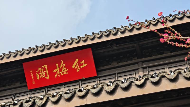 红梅阁前春意浓（常州红梅公园内）图片