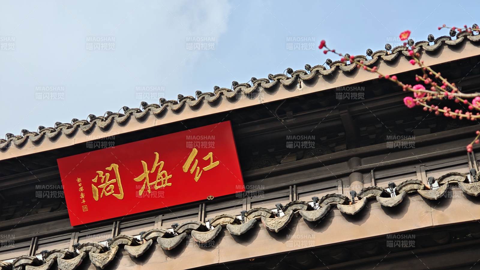 红梅阁前春意浓（常州红梅公园内）图片