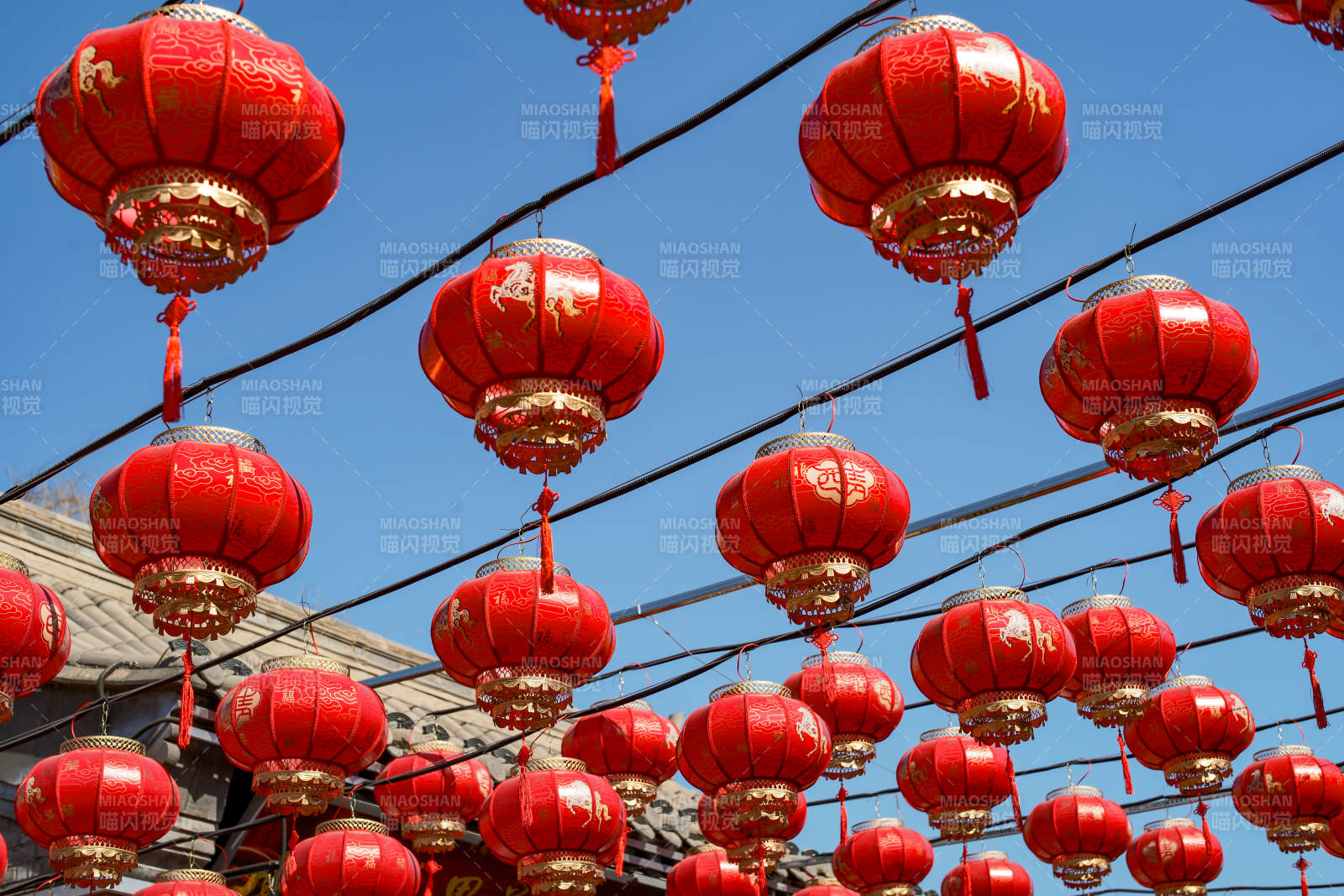 红灯笼迎新春图片