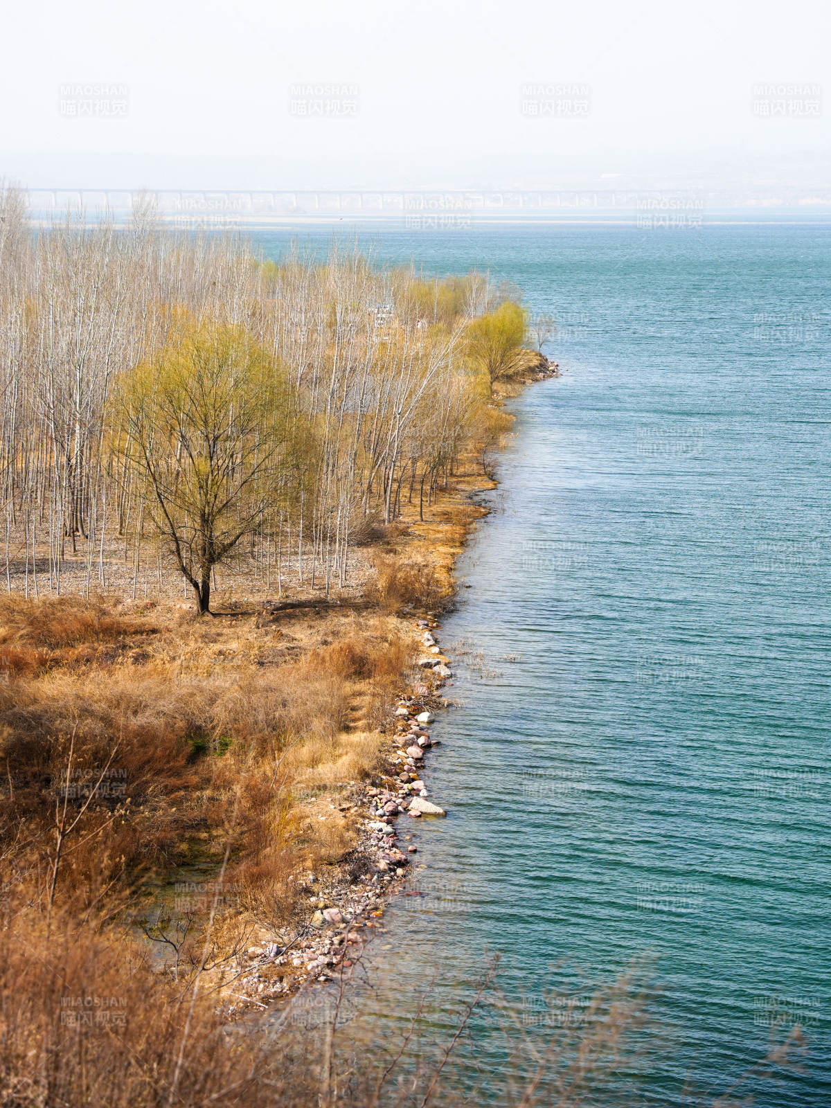 湖畔秋景图图片