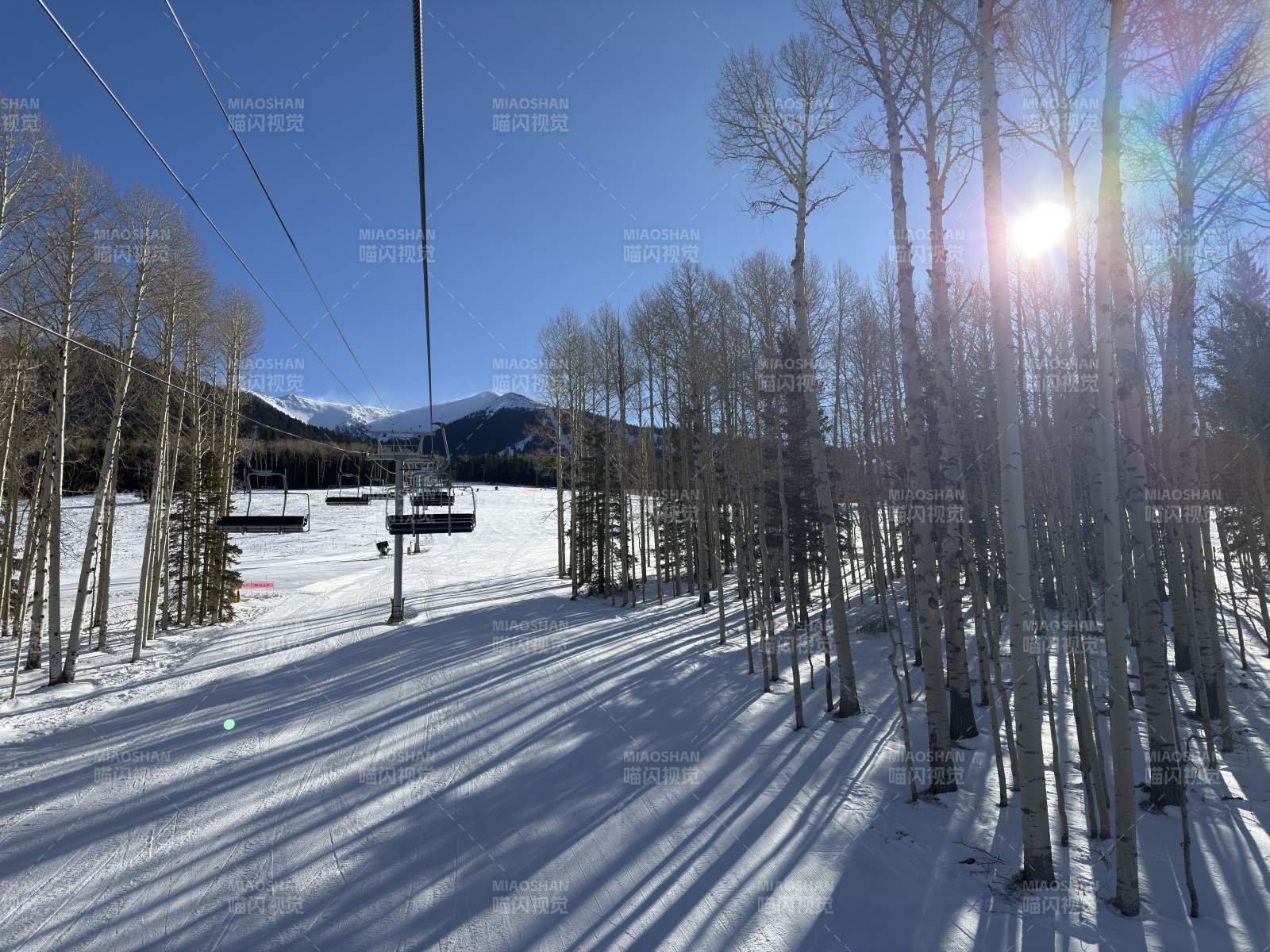 雪林阳光滑雪场图片