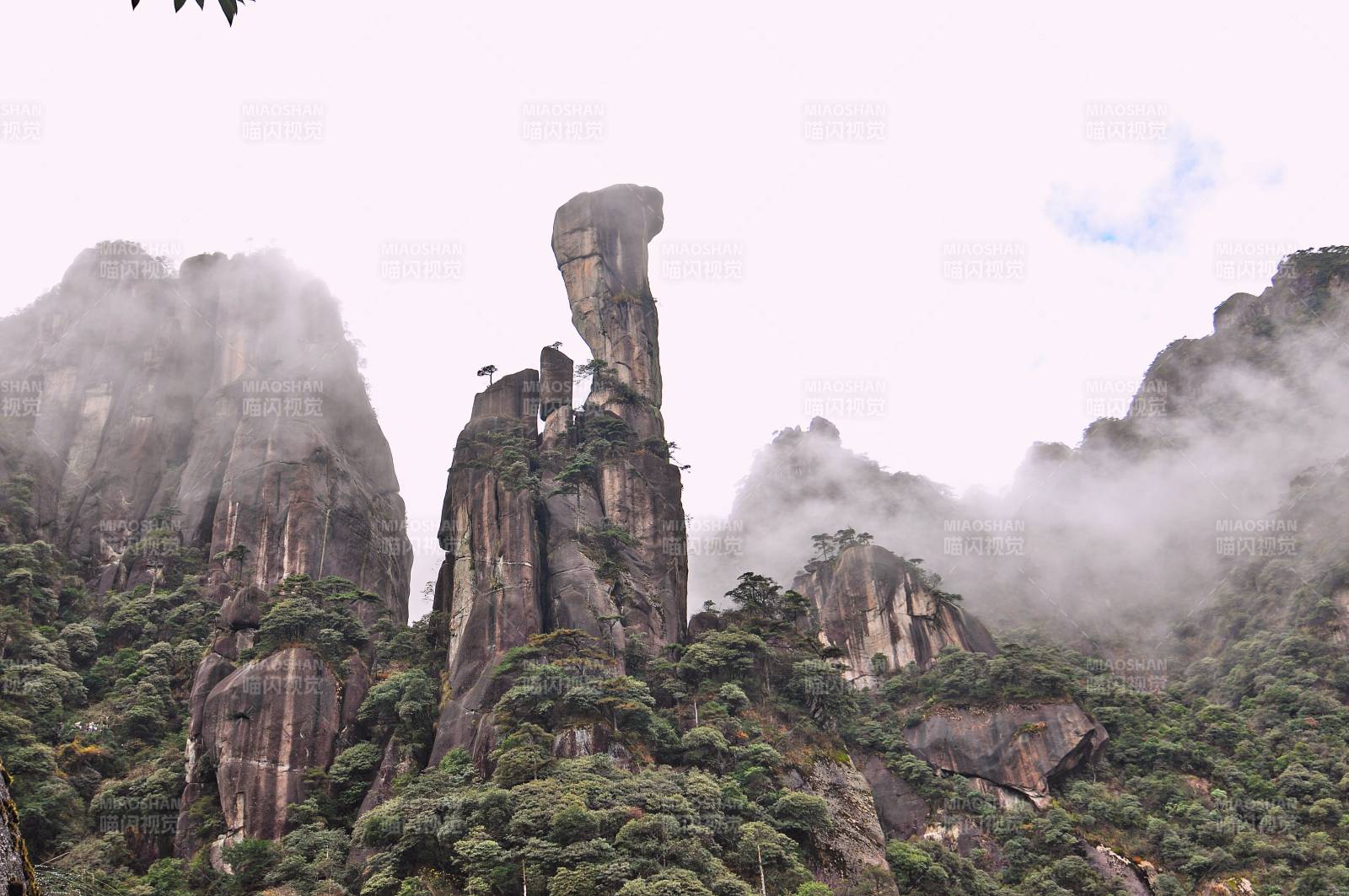 江西三清山蟒蛇蜂云雾缭绕图片