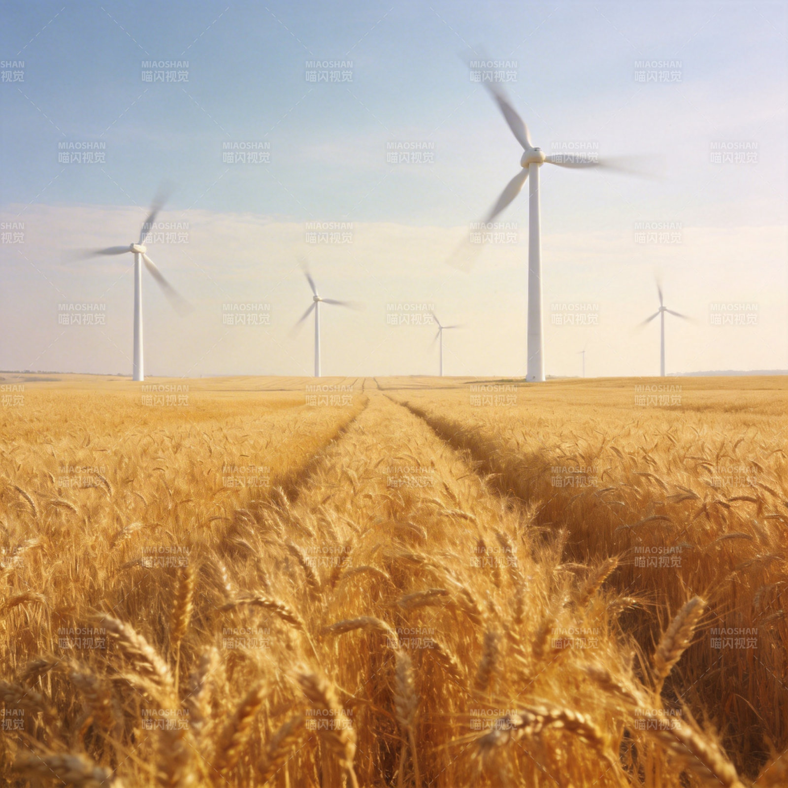 风车麦田风光图片