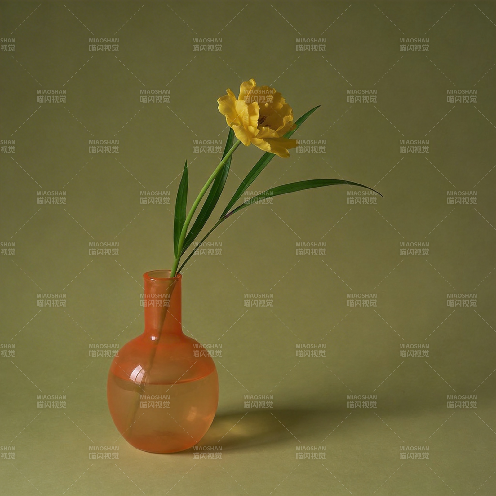 黄花橙瓶静谧美图片