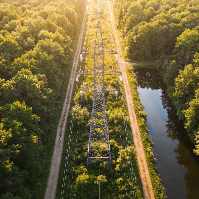 电力塔穿林而过图片