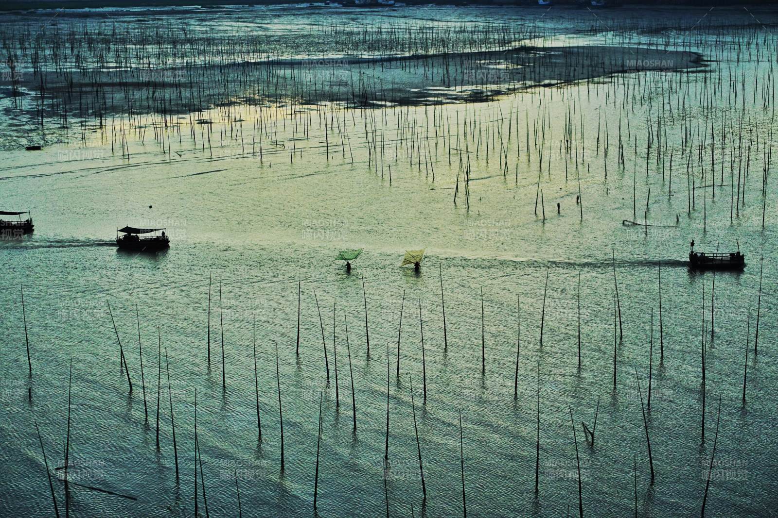 霞浦竹影舟行图片