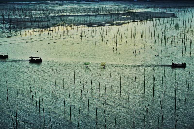 霞浦竹影舟行图片