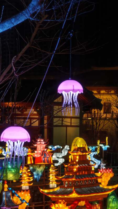 夜景彩灯展图片