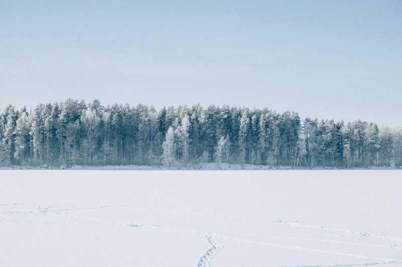 北方雪原林海静谧冬景图片