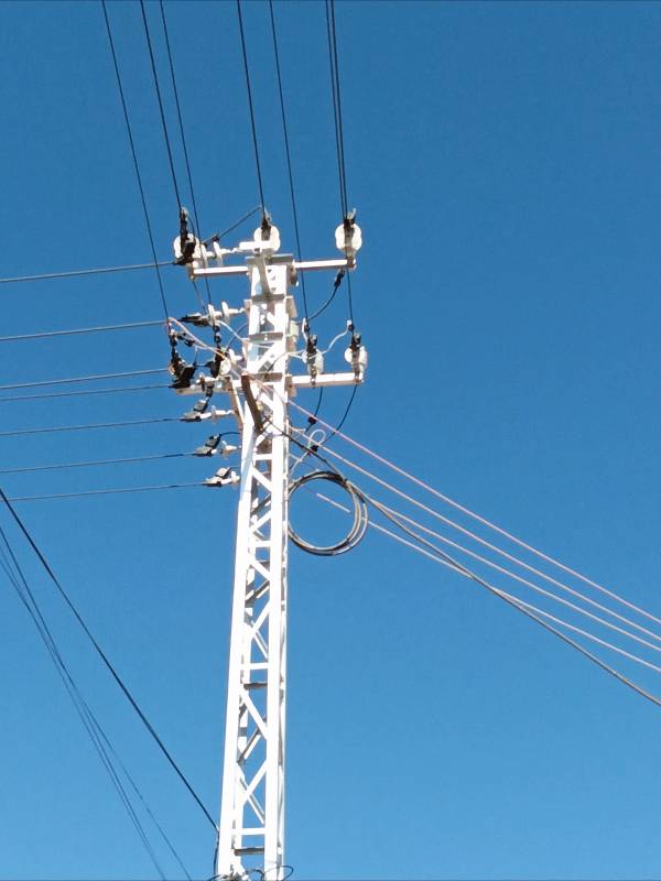 蓝天下的电线杆图片