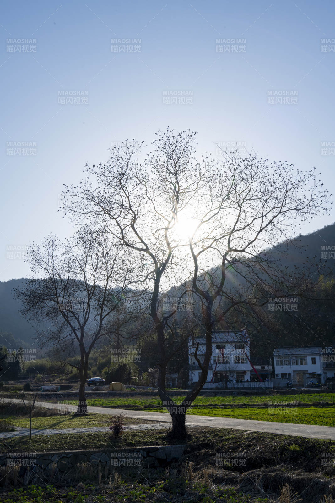 冬日树影山居图片