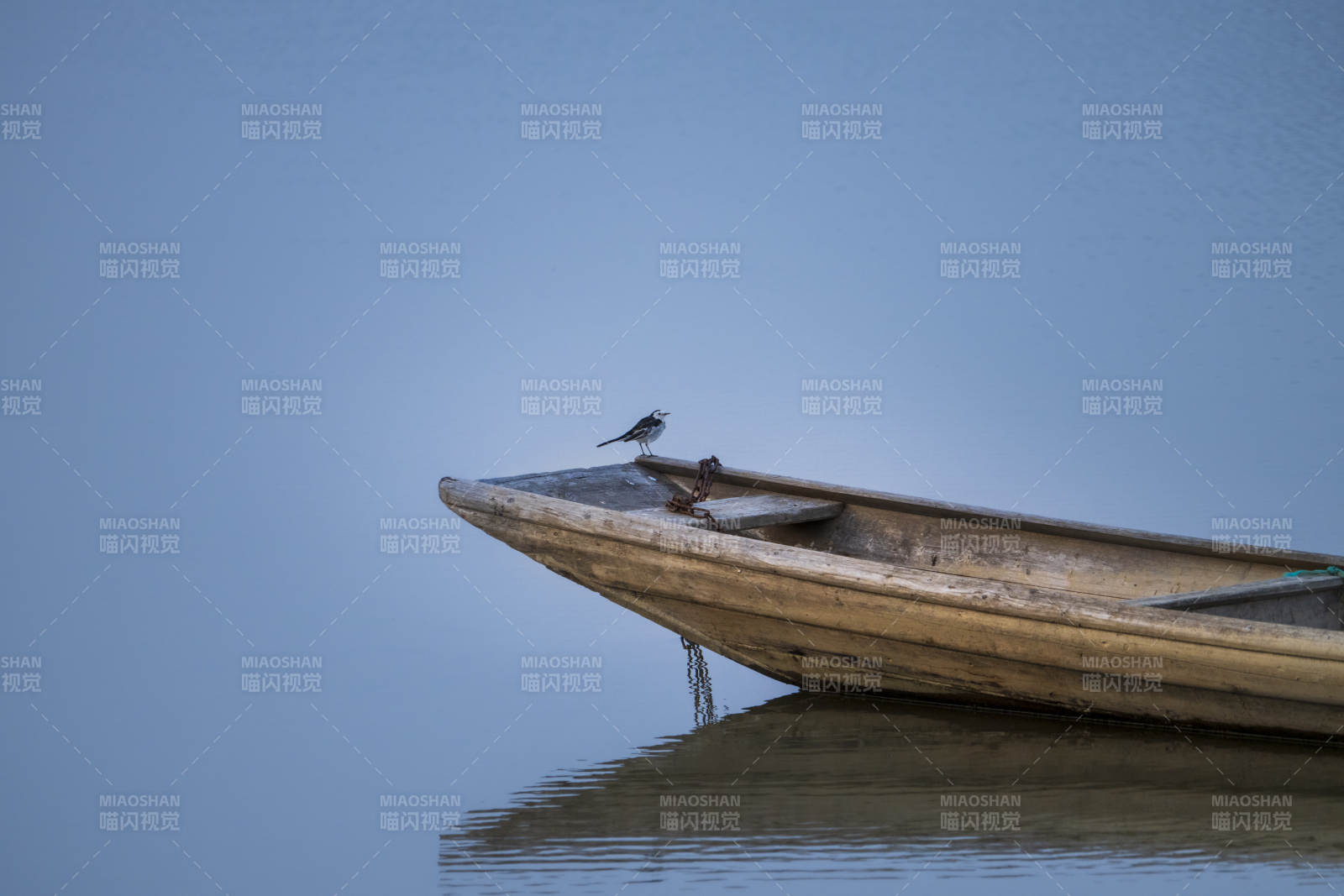 孤鸟栖舟静水图片
