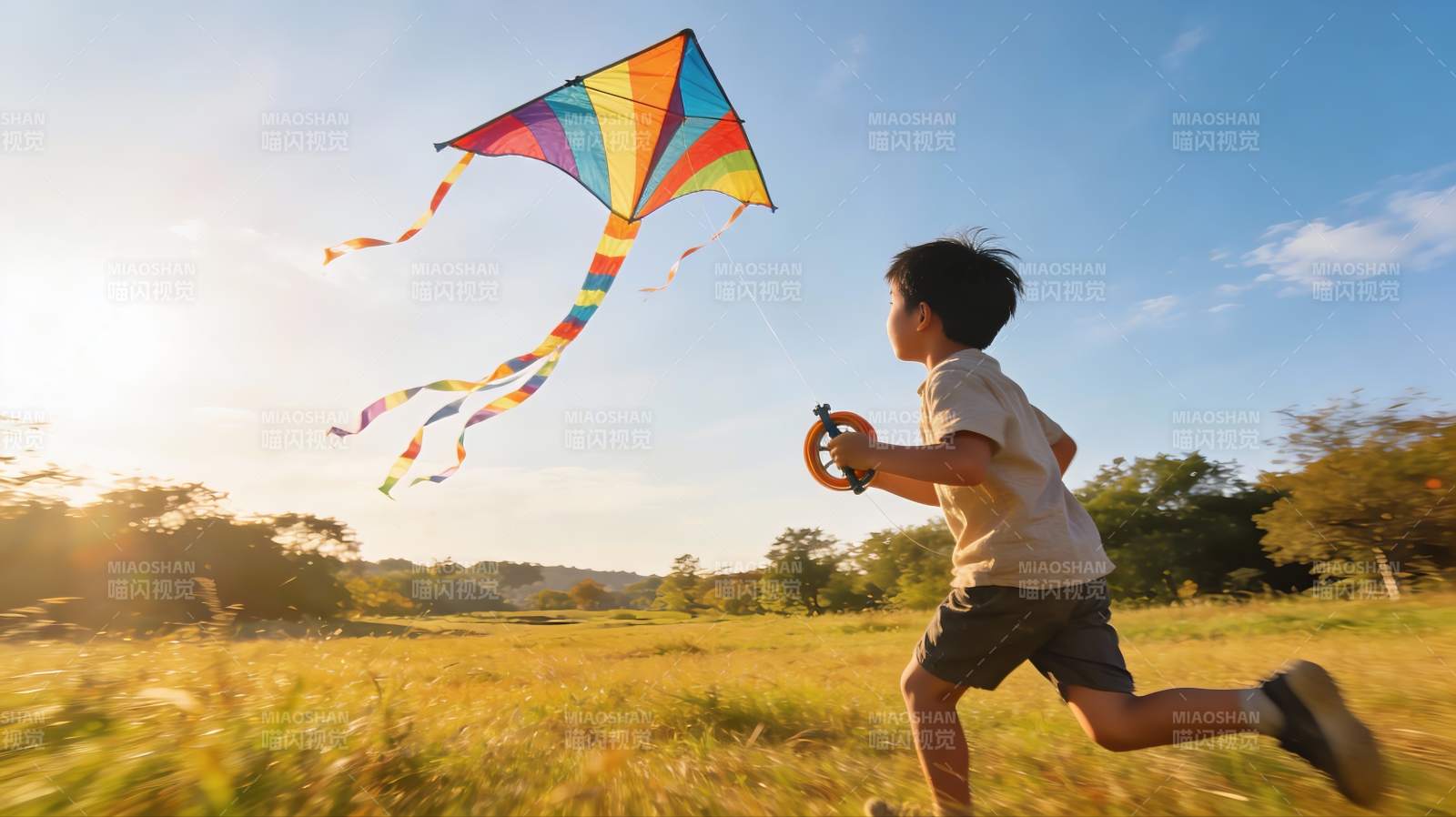 小男孩草地上放风筝图片