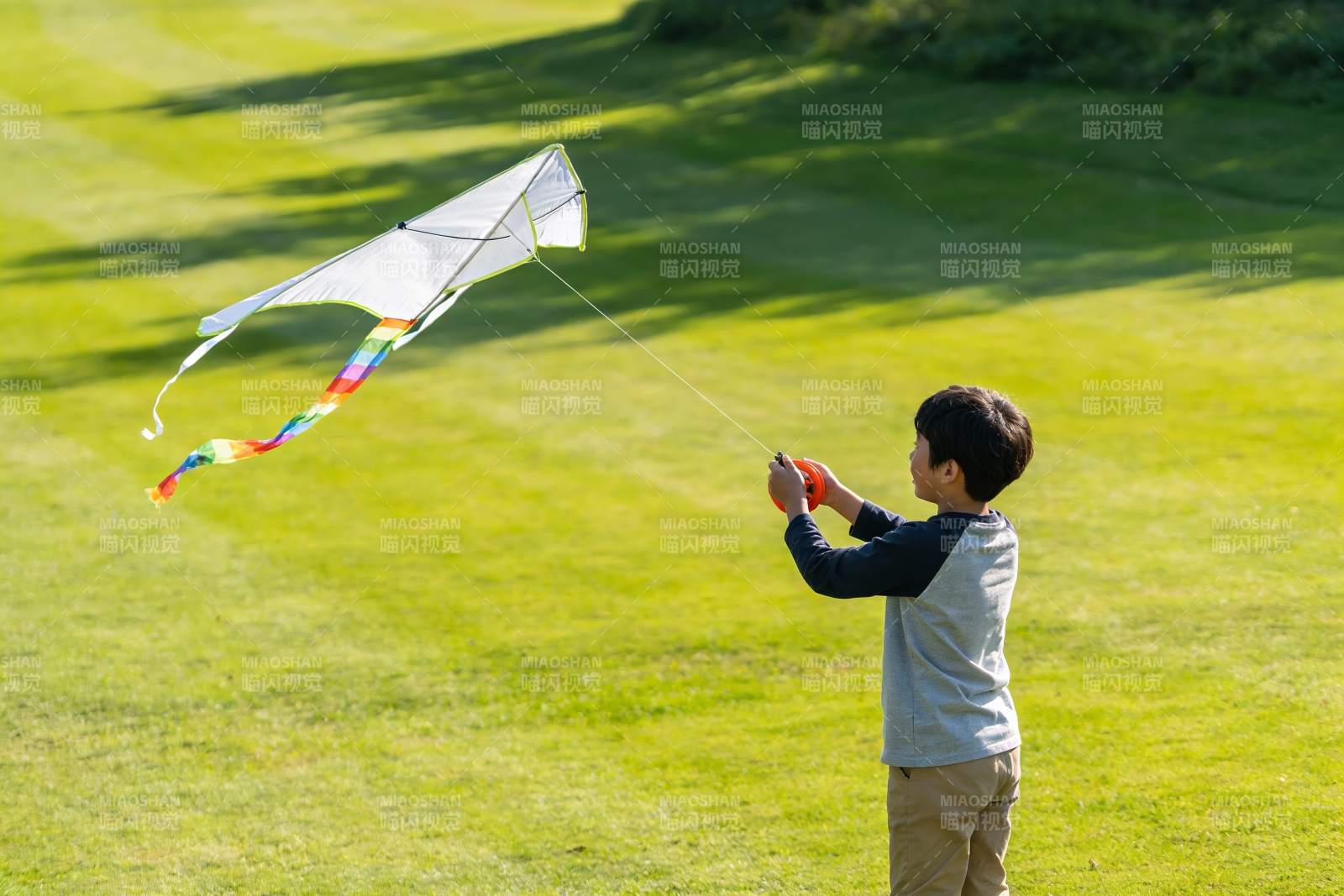 小男孩草地上放风筝图片