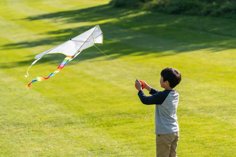 小男孩草地上放风筝图片