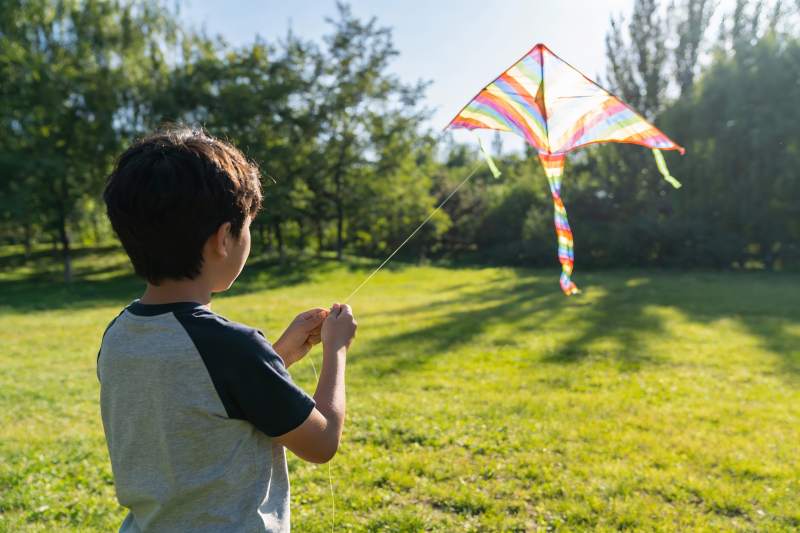 小男孩草地上放风筝图片