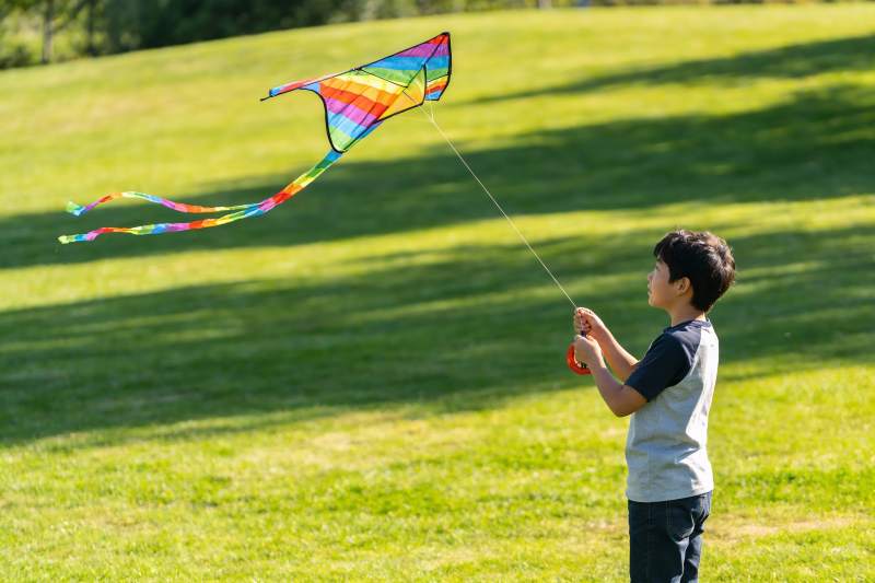 小男孩户外放风筝图片