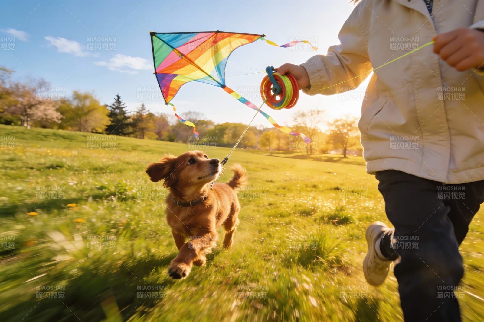 人牵狗放风筝草地上奔跑图片