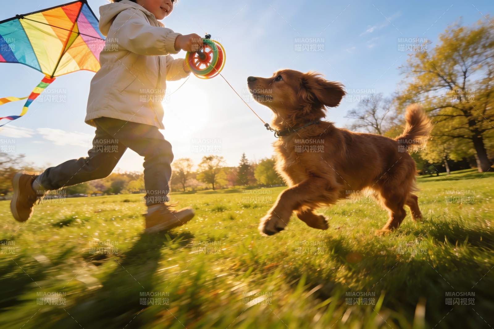 儿童放风筝与狗狗奔跑图片