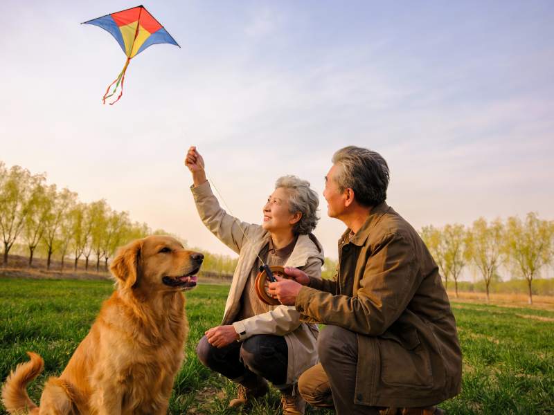 老夫妻放风筝与狗相伴图片