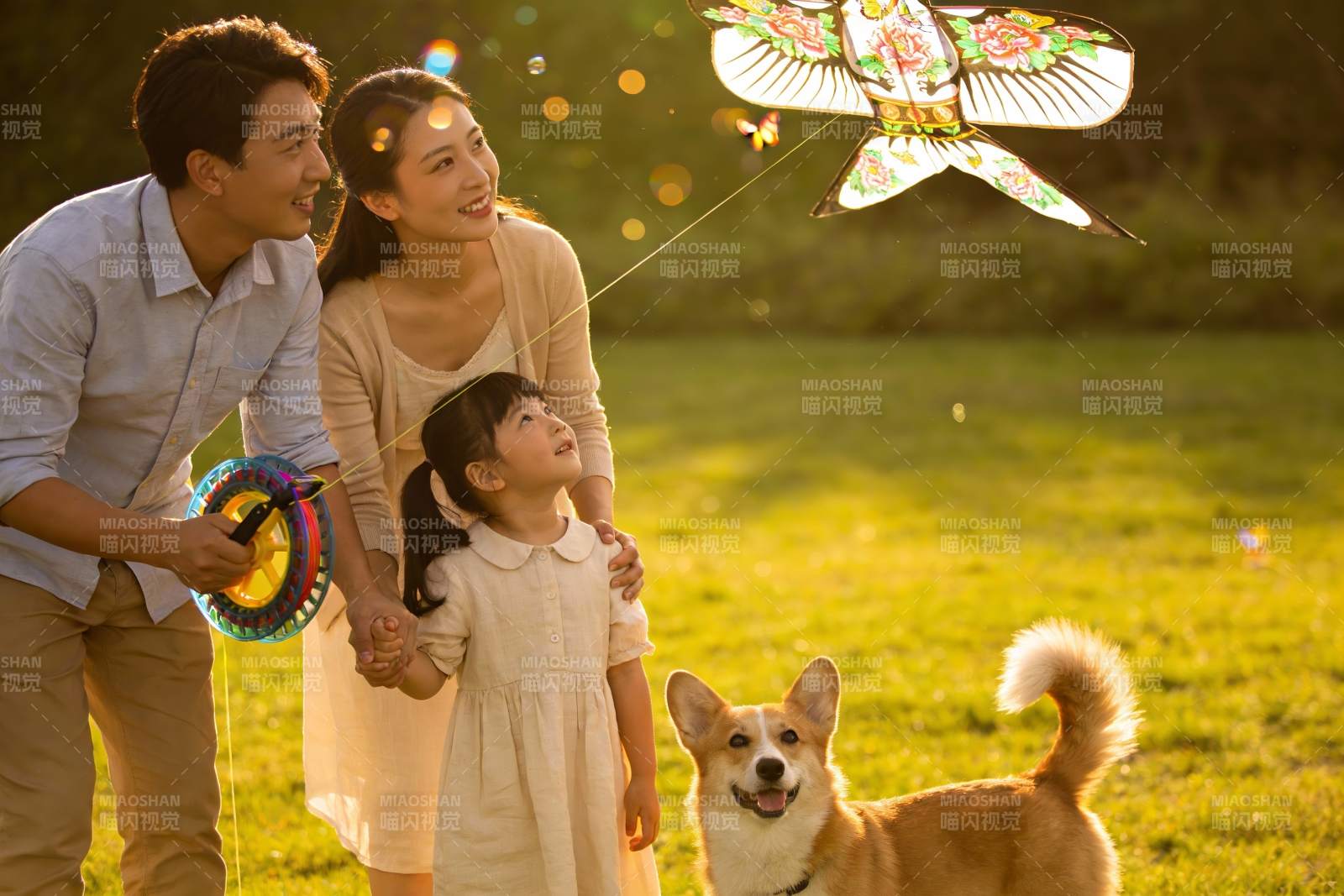 一家三口户外放风筝与宠物狗图片