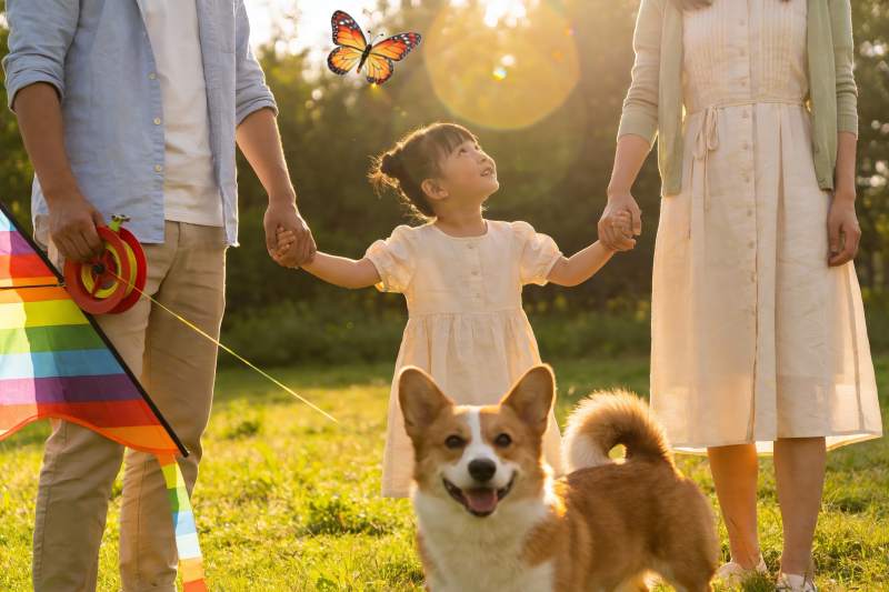 家庭户外放风筝与宠物狗图片