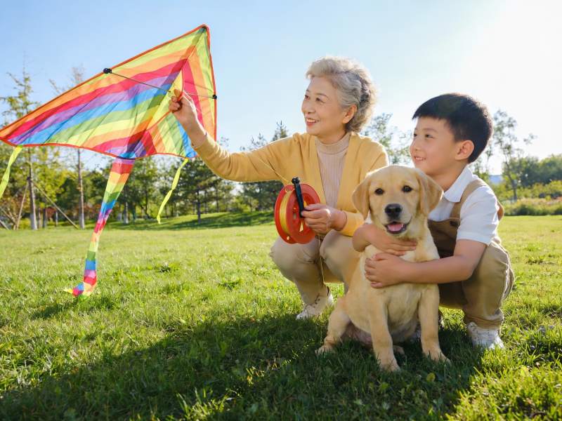 祖孙放风筝与宠物狗同框图片