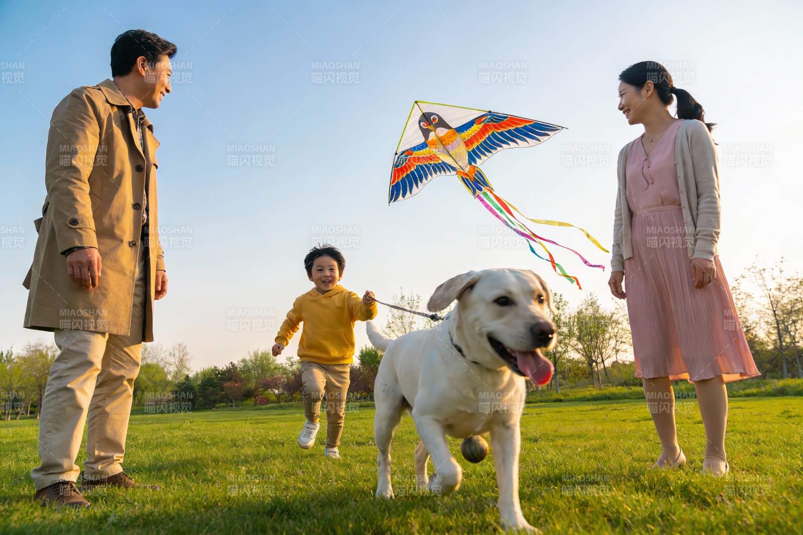 家庭草地上放风筝与宠物狗图片