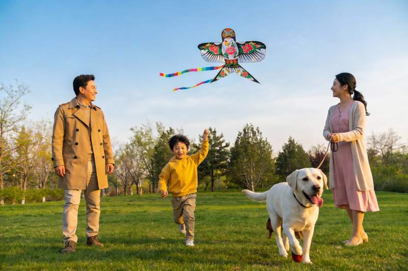 家庭户外放风筝与宠物狗图片