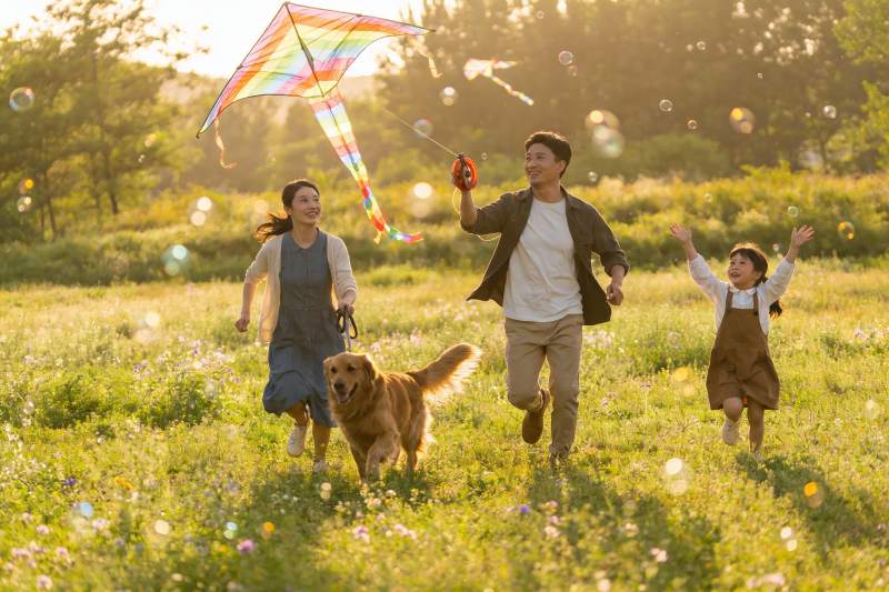 家庭户外放风筝欢乐场景图片