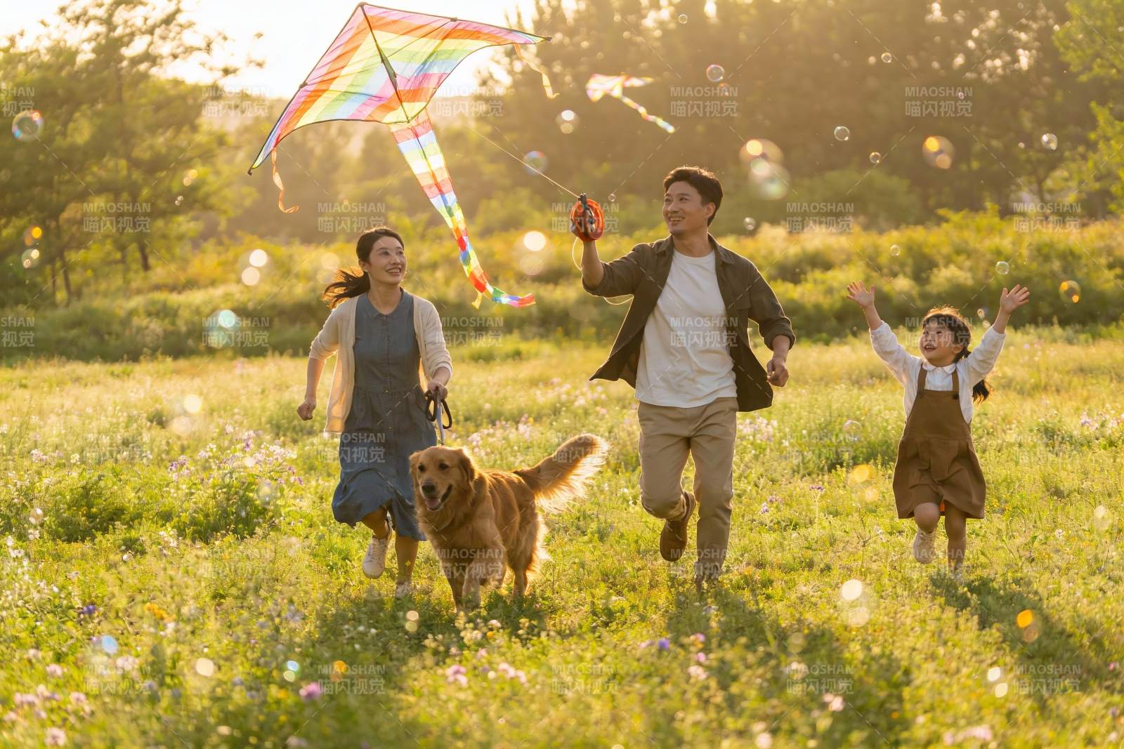 家庭户外放风筝欢乐场景图片