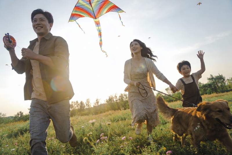一家三口户外放风筝图片