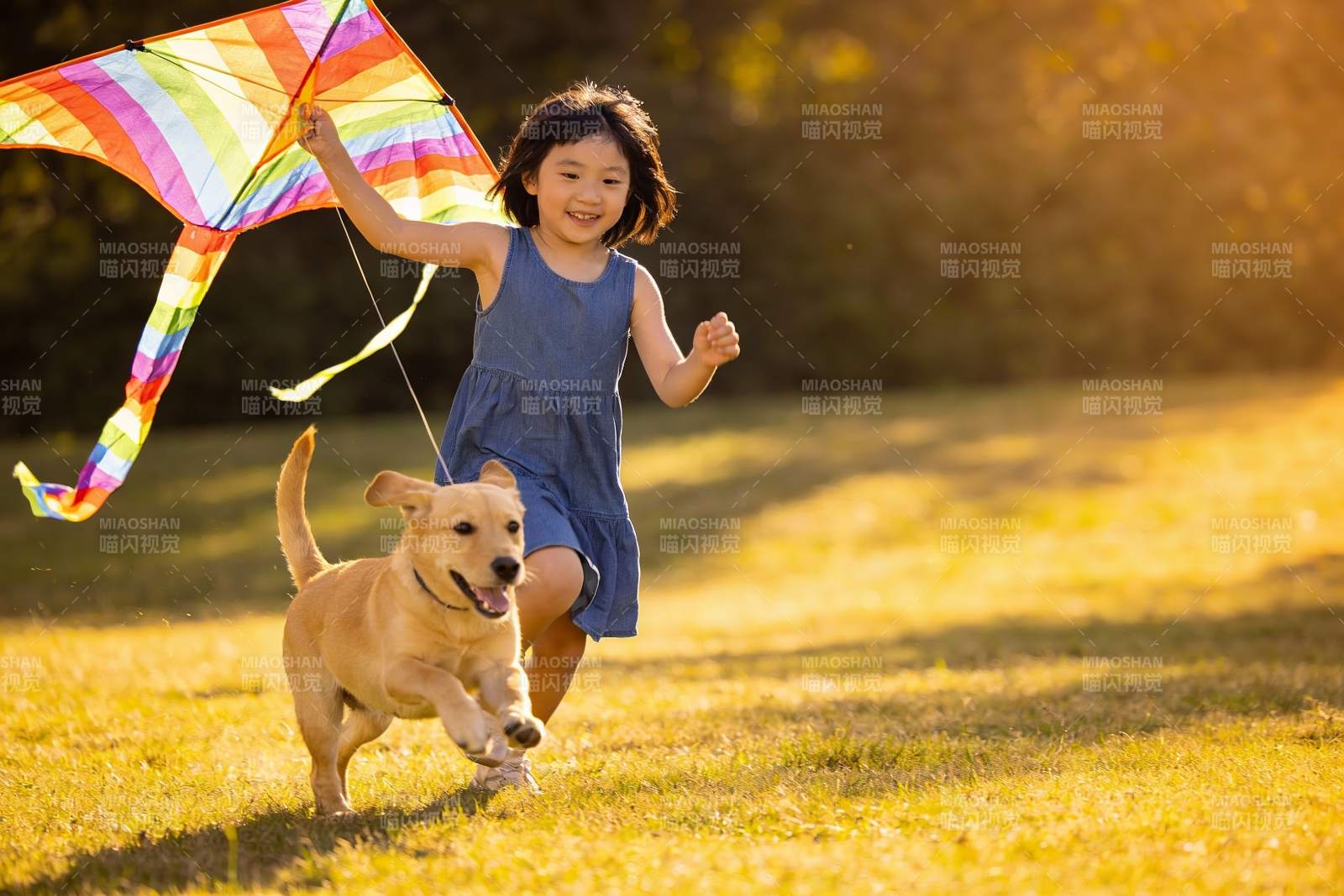 小女孩与小狗草地上放风筝图片