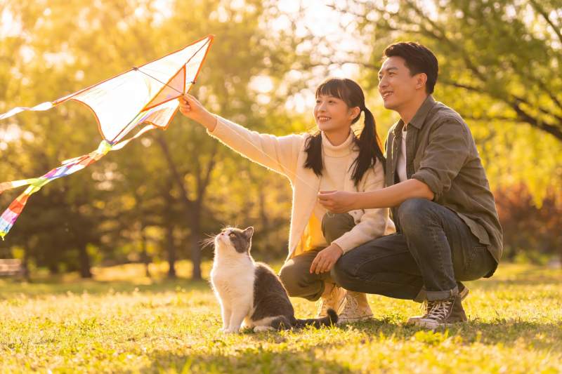 公园放风筝与猫咪相伴图片